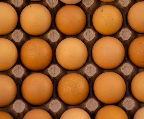 Making protein easier to digest